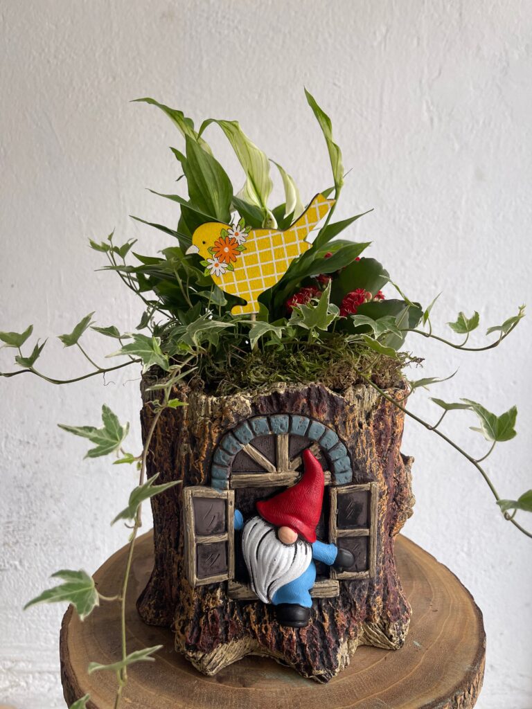 Decoración Gnomo plantas